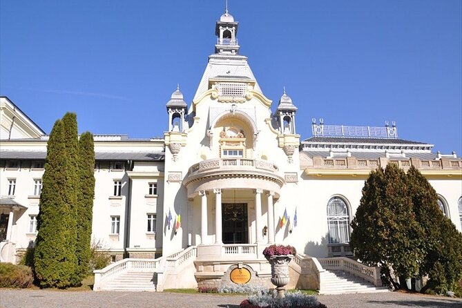 One Day Private Tour to Peles and Dracula Castles & Brasov City - The road is part of the experience