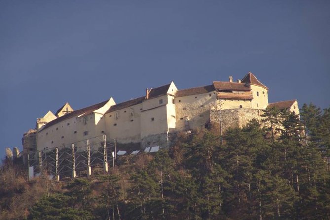 One day trip Bear Sanctuary Dracula Castel and Rasnov Fortress from Brasov - Transport, pickup, and the guide