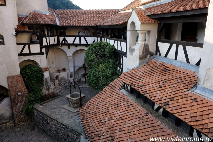 One day trip Bear Sanctuary, Dracula Castle - The Views Along the Way