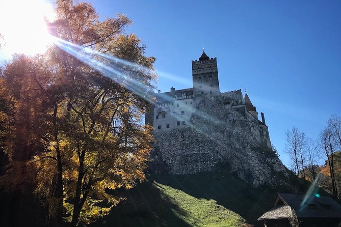 One day trip Bear Sanctuary, Dracula Castle, Rasnov Fortress from Brasov - Why the timing can change so much