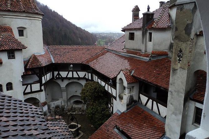 One day trip Bear Sanctuary, Dracula Castle, Rasnov Fortress from Brasov - My verdict: book it for the bears and the ease