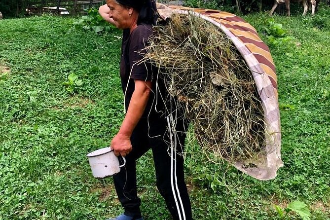 Original Carpathian Village Experience and Sinaia in one day tour - Villages and fortified churches: a look at Transylvanian life