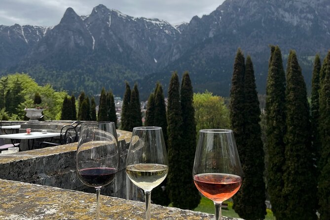 Peles & Cantacuzino Castles: Gourmet Wine & Cultural Day trip - Who should book this castle and wine day?