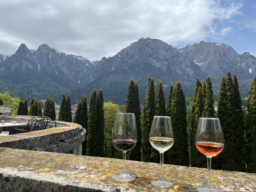 Peles & Cantacuzino Castles: Gourmet Wine & Cultural trip - Should you book Peles and Cantacuzino Castles?