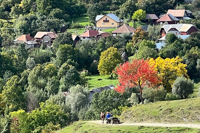 Peles castle and authentic Romanian village experience - day trip - Secăria: the most personal part of the experience