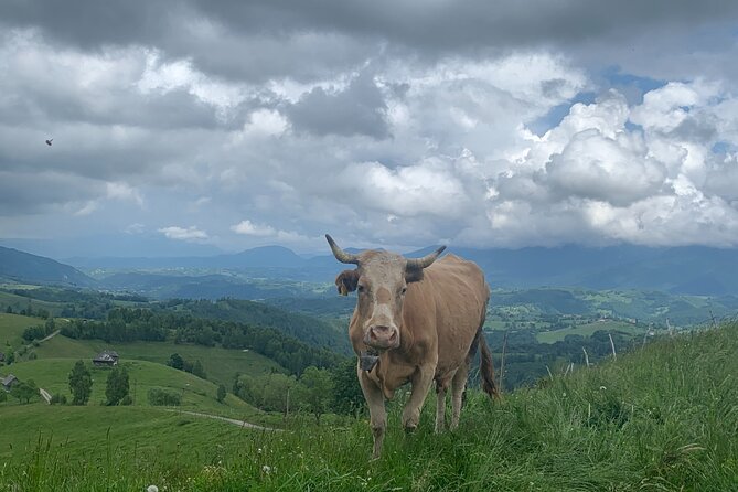 Peles castle and authentic Romanian village experience - day trip - Who will enjoy this Romanian countryside tour