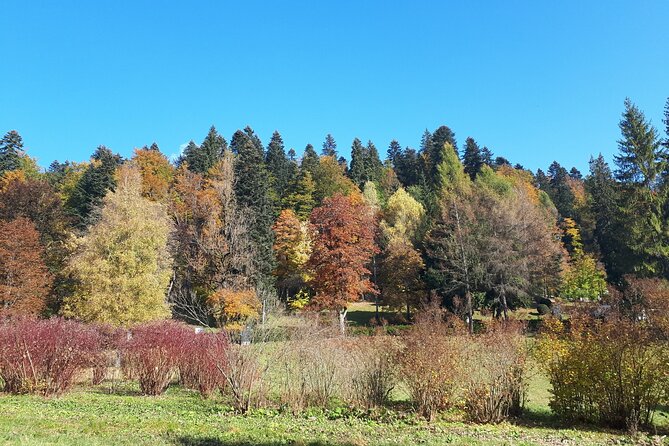 Peles Castle and optional Cantacuzino Castle from Brasov - The guide can shape the whole experience