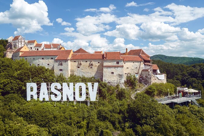 Peles Castle, Bran Castle & Rasnov Fort. Private Tour from Brasov - Who should book this private castle tour?