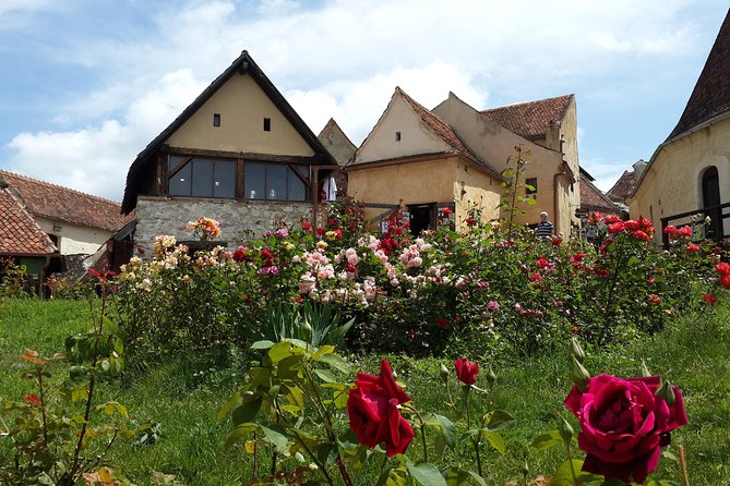 Peles Castle, Bran Castle, Rasnov Fortress and Sinaia Monastery Tour from Brasov - Peles Castle and the royal side of Romania