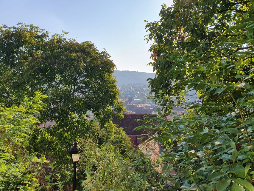 Peleș Castle, Bran Castles and Brasov City - Private Tour - Final verdict: a strong private introduction to the region
