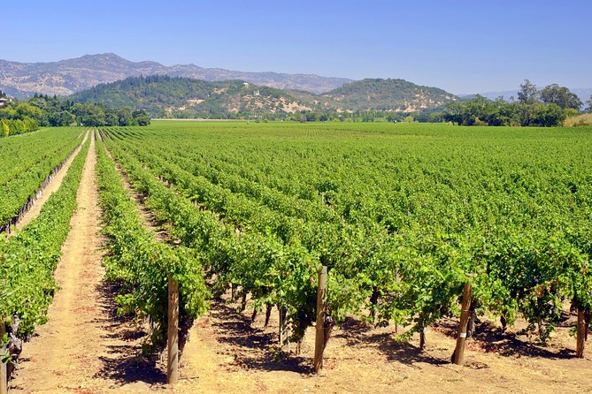 Peles Royal Castle & Wine Tasting - 9 hours - What $195.81 per person really covers