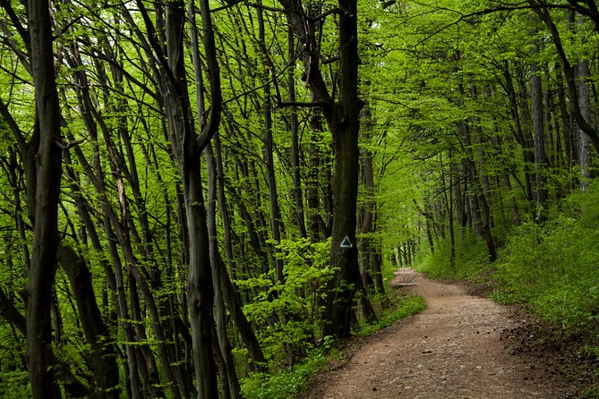Perfect bike tour around Brasov - Key points to know before you ride