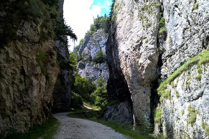 Perfect bike tour around Brasov - Riding through the secular oak forest