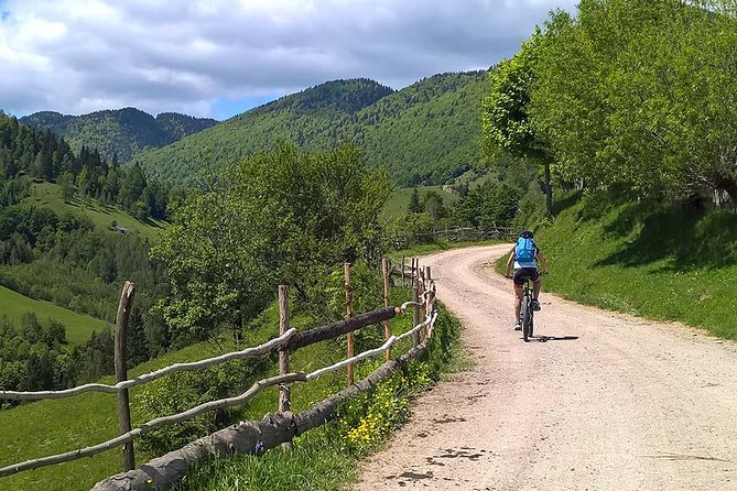 Perfect bike tour around Brasov - Guides, bikes, and the feel of the ride