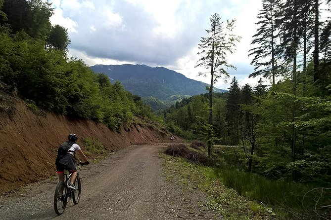 Perfect bike tour around Brasov - Who should book this Brasov bike tour?