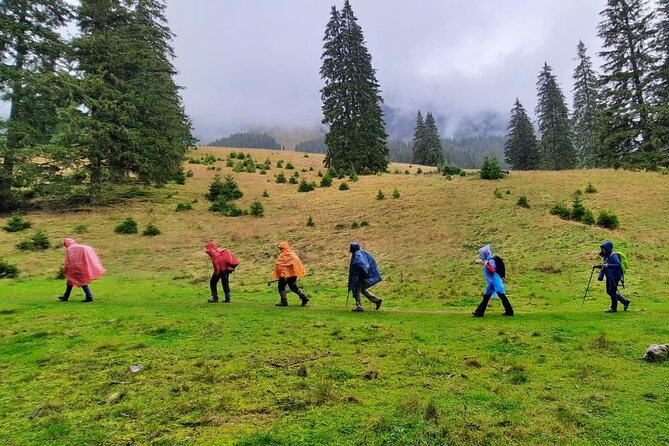 Pestera and Magura Full-Day Private Walking Tour from Brasov - Key points at a glance