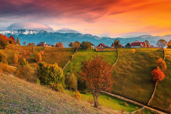 Pestera and Magura Full-Day Private Walking Tour from Brasov - Pestera: a mountain village with room to breathe