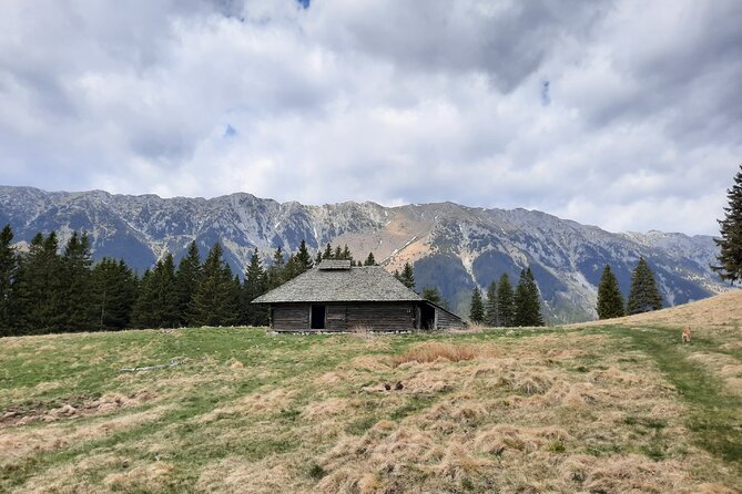 Pestera and Magura Full-Day Private Walking Tour from Brasov - The walking: easy trail, real effort