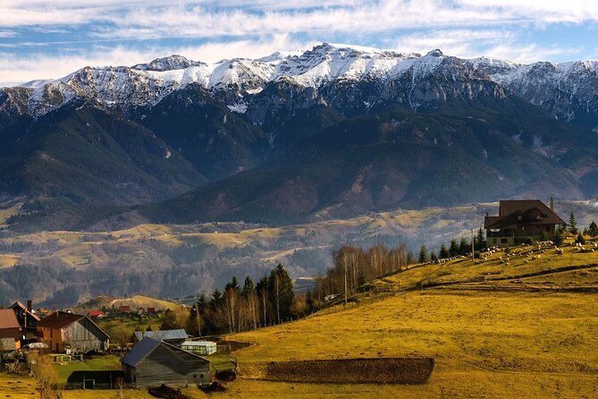 Pestera and Magura Full-Day Private Walking Tour from Brasov - Why a private guide changes the experience