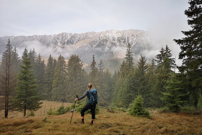 Pestera and Magura Full-Day Private Walking Tour from Brasov - Who should book this day trip?