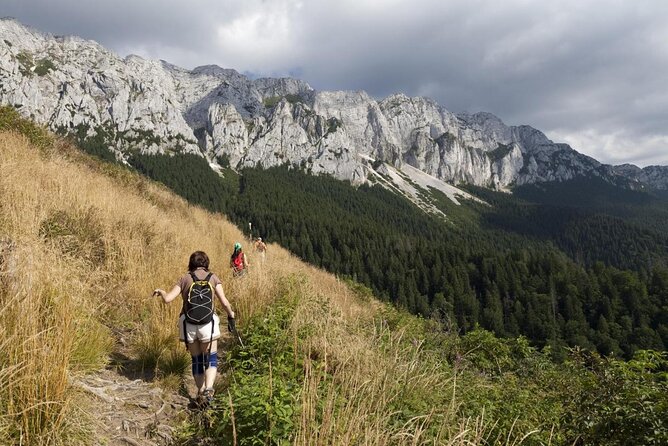 Piatra Craiului National Park Private Hiking Tour from Brasov - Key points to know before you book