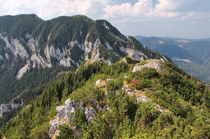 Piatra Craiului National Park Private Hiking Tour from Brasov - Leaving Brașov for the Carpathians