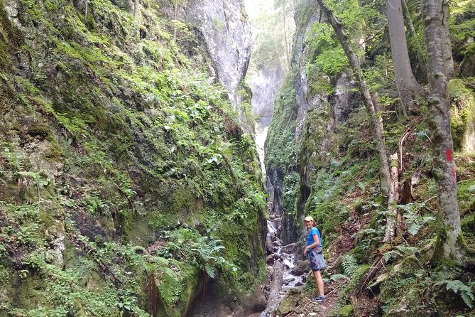Piatra Craiului National Park Private Hiking Tour from Brasov - Lunch, mountain refuges, and the practical details