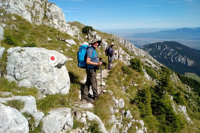 Piatra Craiului National Park Private Hiking Tour from Brasov - Adding Bran Castle on the way back