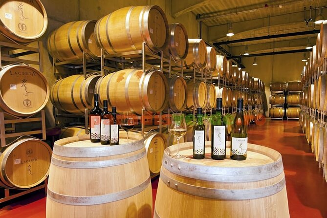 Prahova Salt Mine & Wine Tasting - Private day tour from Bucharest - What a private guide adds to the day