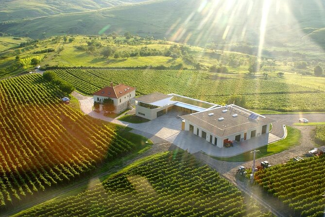 Prahova Salt Mine & Wine Tasting - Private day tour from Bucharest - Who will enjoy this private Romania tour