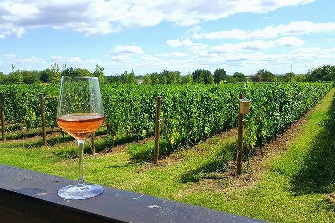 Prahova Valley Wine Tour from Bucharest Small Group - Why Leave Bucharest for Prahova Valley?