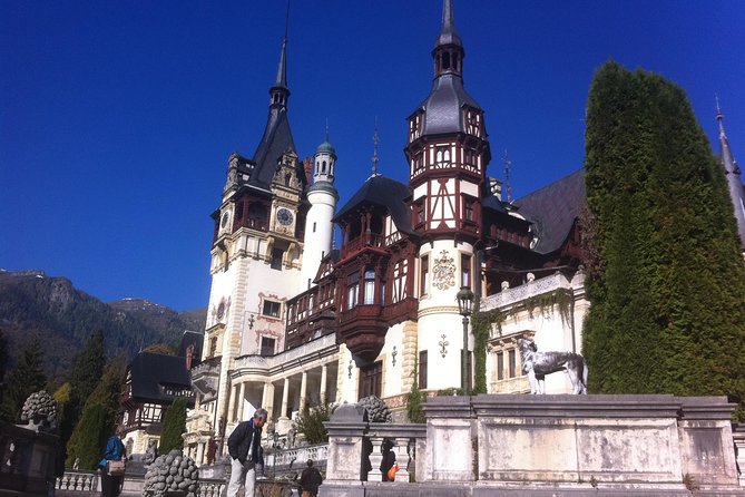 Private 4-Day Tour in Transylvania including Transfagarasan Road from Bucharest - Day 4: Bears near Zarnesti and the legends of Snagov