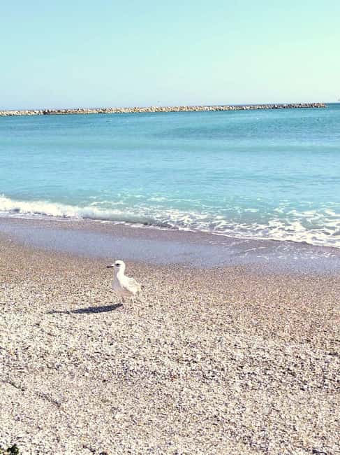 Private Bucharest Tour: Discover Constanța & Black Sea Coast - What the private format includes