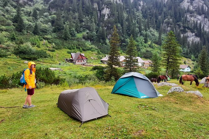 Private day hike from Brasov to Malaiesti Cottage - Key Points Before You Book
