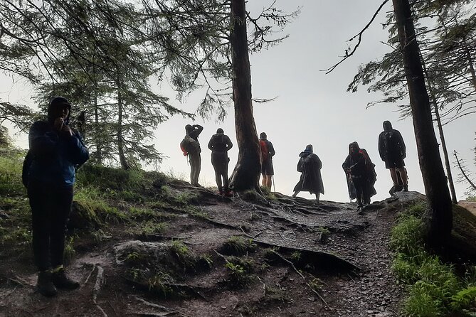 Private day hike from Brasov to Malaiesti Cottage - Why Mălăiești Cottage Makes a Good Goal