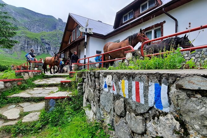 Private day hike from Brasov to Malaiesti Cottage - What the $100.80 Price Buys You