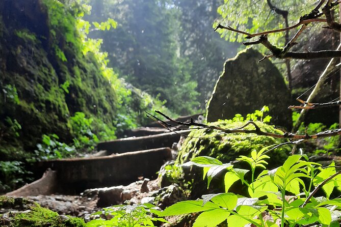 Private day hike from Brasov to Malaiesti Cottage - A Guide Adds More Than Directions