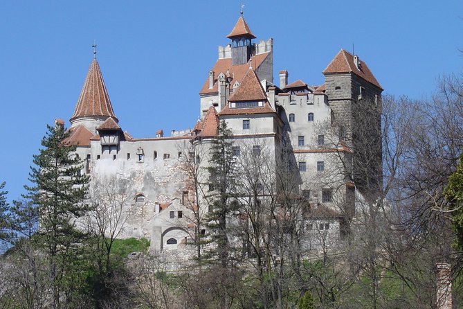 Private Day Tour from Brasov to Rasnov Fortress - Peles Palace: the visual high point