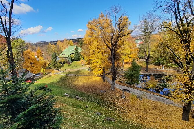 Private Day Tour in Transylvania, Peles and Bran Castles from Brasov - Who should book this tour