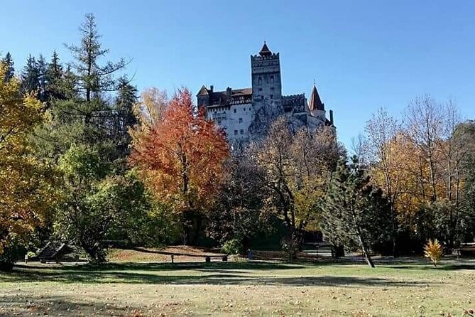 Private Day Trip to Peles Palace, Dracula's Castle and Brasov - Who should book this experience?
