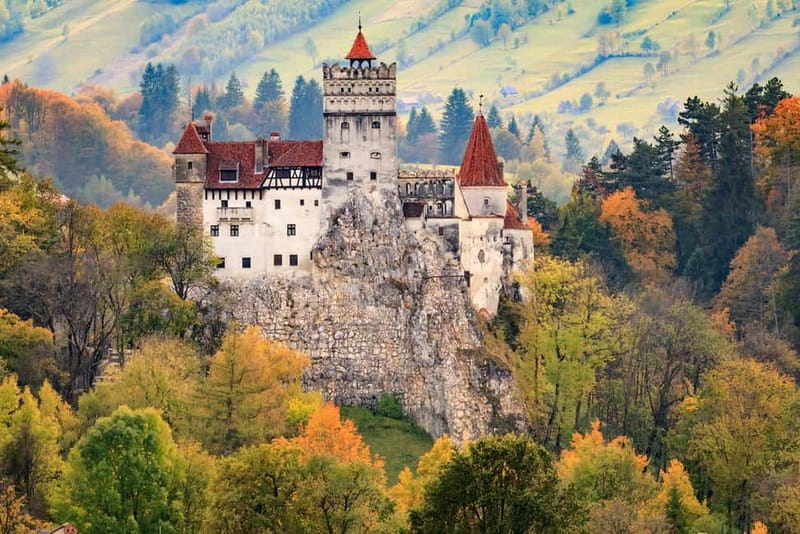 Private Guided Tour Dracula's Castle & Bear Sanctuary - Why this Bucharest day trip works