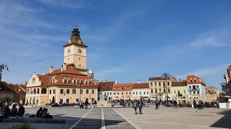 Private Guided Tour Dracula's Castle & Bear Sanctuary - What the private format adds
