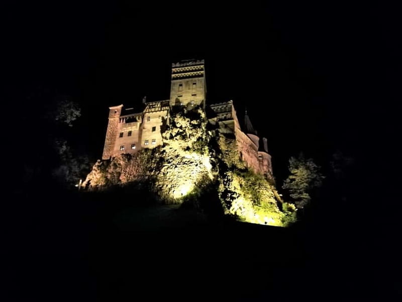 Private Guided Tour Dracula's Castle & Bear Sanctuary - Who should book this experience?