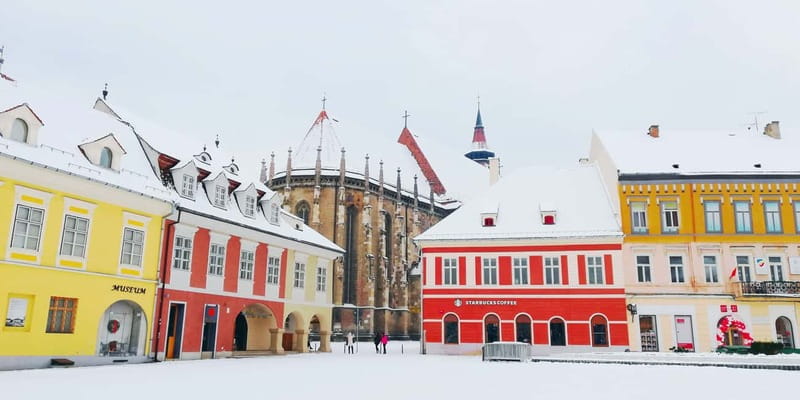 Private Guided Tour Dracula's Castle & Bear Sanctuary - Early pickup and the Carpathian crossing