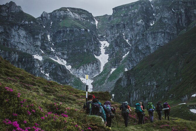 Private Hiking to Bucegi Natural Park from Brasov - Key points to know before you book