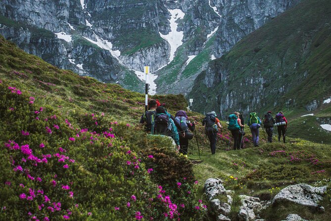 Private Hiking to Bucegi Natural Park from Brasov - The descent from 4:30 pm to 7:00 pm