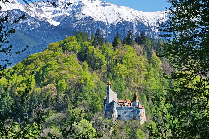 Private Movie Castles at Peles, Cantacuzino and Bran Castle Tour - Key points to know before booking