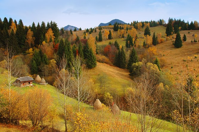 Private six days tour to Maramures and Bucovina from Cluj-Napoca - Day three: the Mocanita railway and Maramures craftsmanship
