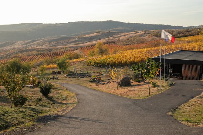 Private Tasting Expedition Along Romania’s Most Famous Wine Route - Key Points Before You Book