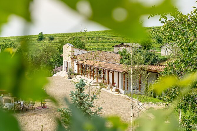 Private Tasting Expedition Along Romania’s Most Famous Wine Route - A Guide Who Adds More Than Directions